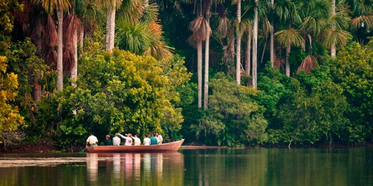 Puerto Maldonado Amazon Tours 2 Days: Is One Night in the Jungle Worth It? (2026 Guide)