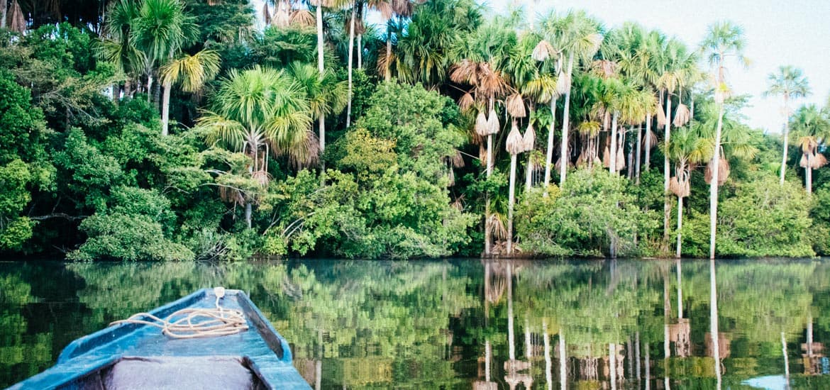 Puerto Maldonado Amazon Tours 3 Days
